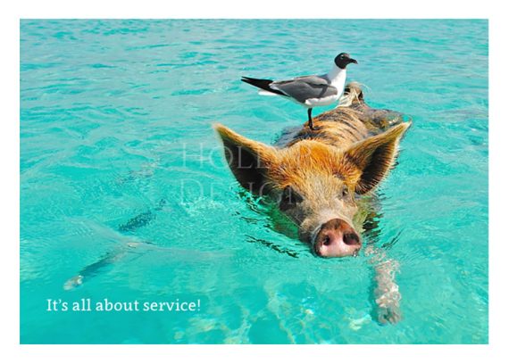 Holly P-120 - It's all about Service