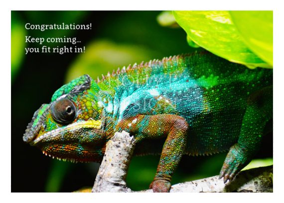 Holly P-121 - Congratulations! Keep coming...