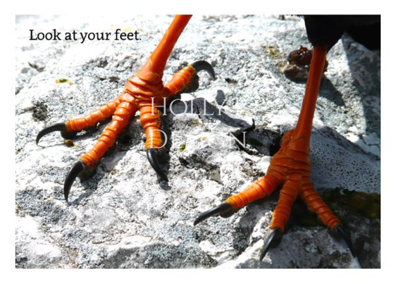 Holly P-125 - Look at your feet