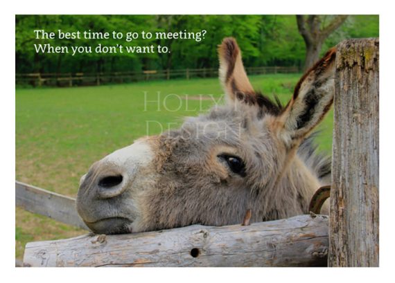 Holly P-127 - Best time to go a meeting