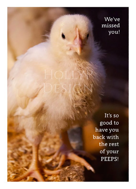 Holly P-115 - We've missed you