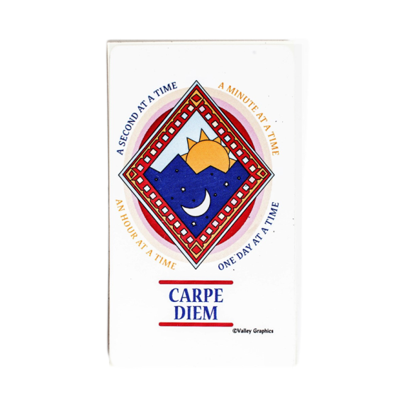 VG - Carpe Diem Magnet