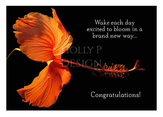 Holly P-068 - Wake each day