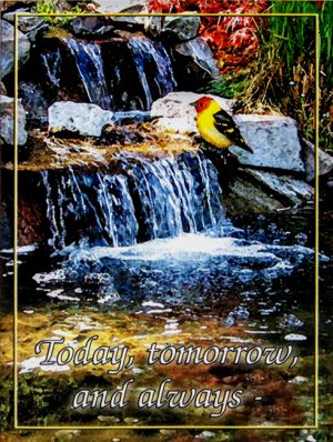 SM - Today, Tomorrow, and Always