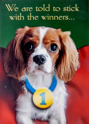 SM141 - We are told to stick with the winners