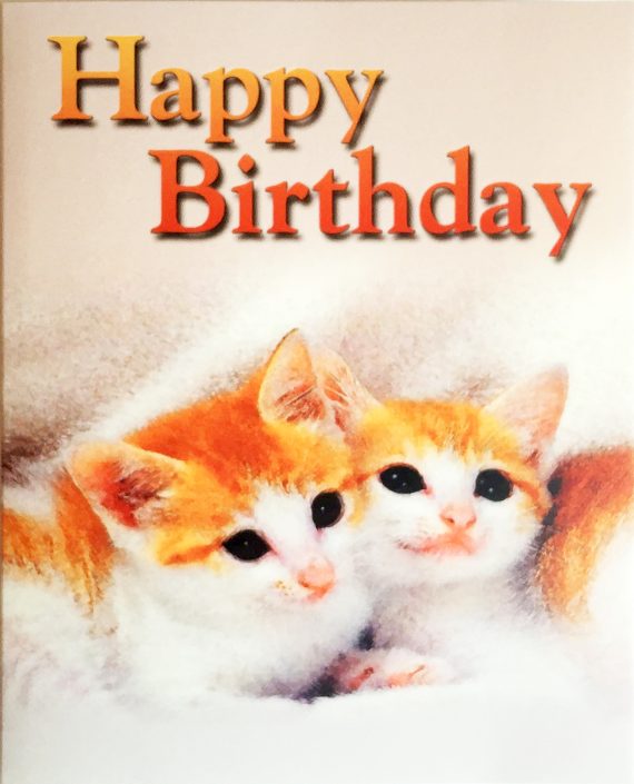 SM - Two kitties