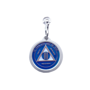 Bezel - Basic round drop in with covered top - MATTE SILVER - Image 2