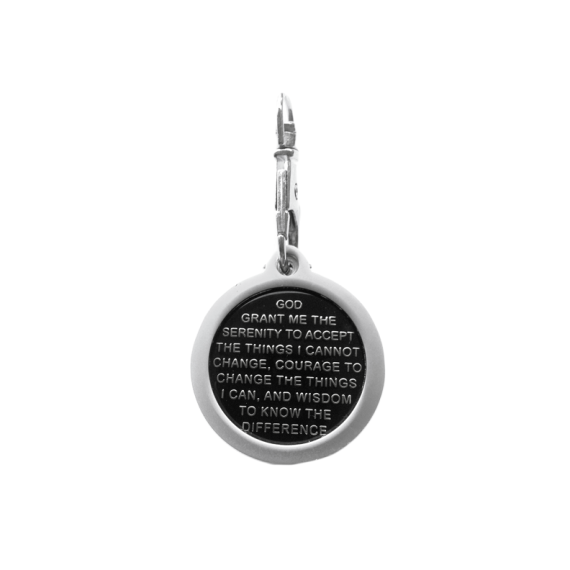Bezel - Basic round drop in with covered top - MATTE SILVER - Image 3