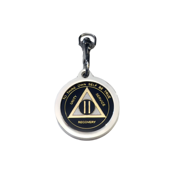 Bezel - Basic round drop in with covered top - SILVER - Image 2